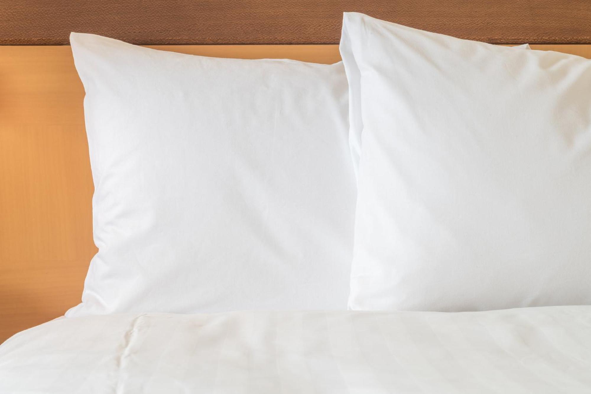 Comfort Cincinnati Airport Hotel Hebron